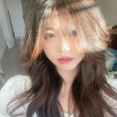 蒂科与鲨鱼