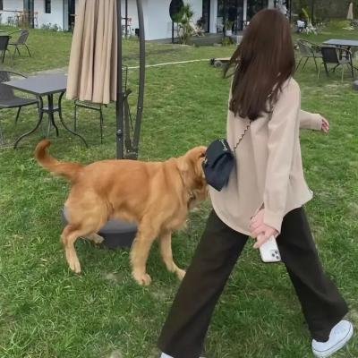 海的女人